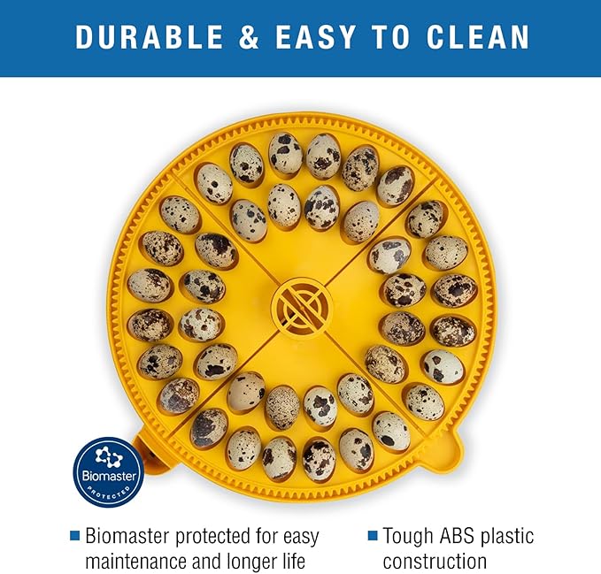 Brinsea Small Egg Quadrant Insert for Maxi Advance Incubator System, Fits 40 Pheasant or Quail-Size Eggs
