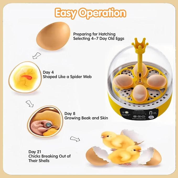4 Eggs Mini Incubator with Transparent Lid,7W Automatic Temperature Humidity Control,Household Small Poultry Hatching Machine,for Chickens Ducks Pigeons (Auto Turning)