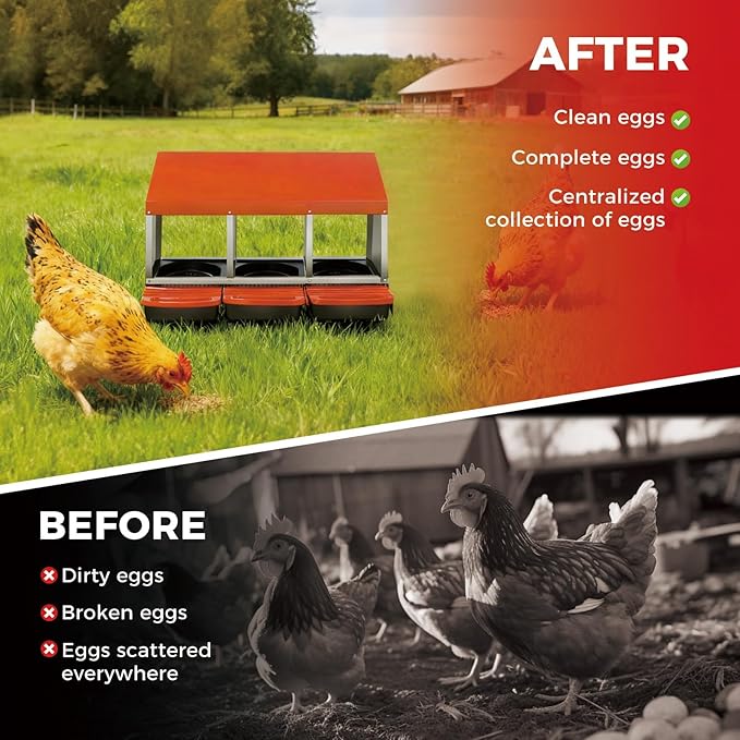Chicken Nesting Boxes with Rollout Egg Collection – 3-Compartment Metal Hen Nest Box with Removable Trays, Slanted Roof & Ventilation, Wall Mount or Standing for Backyard Poultry Coop, Orange
