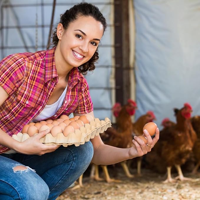 18 Flats 30-Cell Egg Crate（Holds 30 Eggs）, Cardboard Egg Cartons, Sturdy and Stackable Egg Flats, Perfect Egg Crates for Fresh Eggs, Chicken Farm
