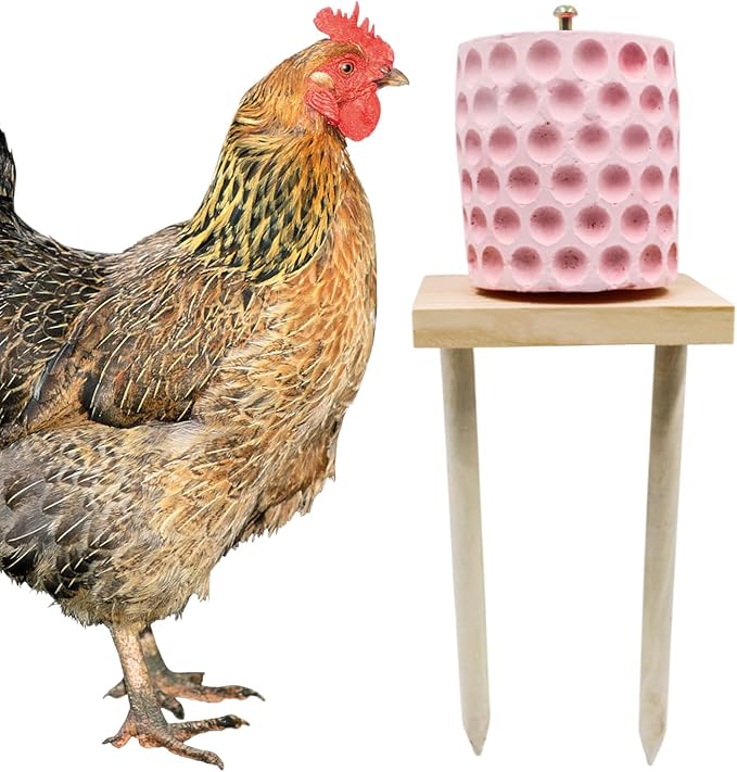 Chicken Coop Accessories, Beak Grinding Calcium Stone with Woodem Stake, Chicken Enrichment Toys, Chicken Coop Toys for Hens, Ducks, Geese, Turkeys, Poultry