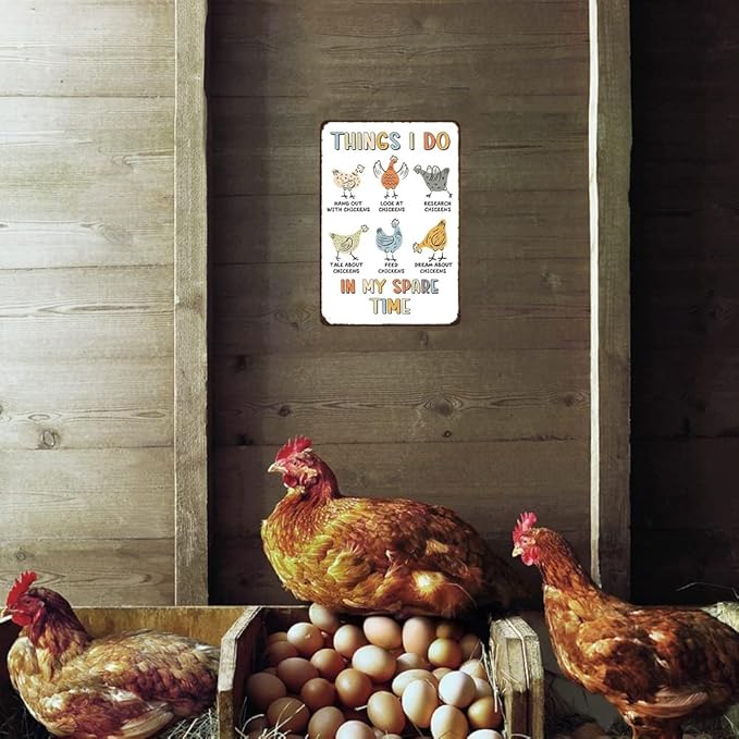 Funnysign Vintage Chicken Sign Things I Do In My Spare Time Funny Tin Sign for Chicken Coop Farm Kitchen Garden Yard Decor 8x12 inch(3882)