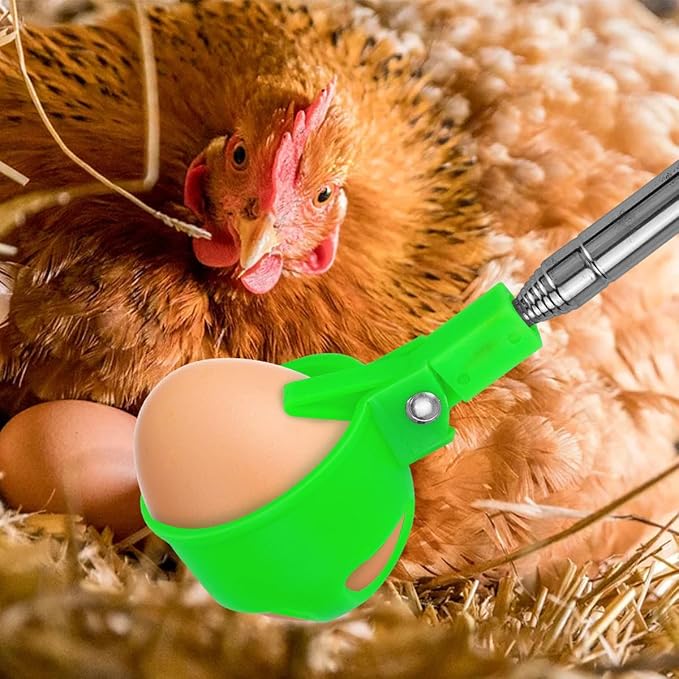 Extendable Egg Grabber for Chicken Eggs Picking Scoop Tool with Anti-Slip Handle Green