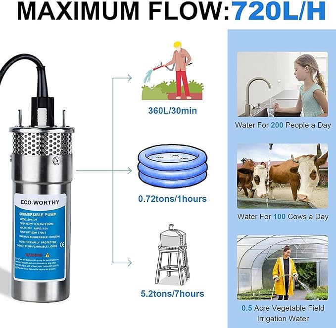 ECO-WORTHY 12V DC Stainless Steel Deep Well Pump Kit - Submersible Pump for Well, Pond, Farm, Home | 20A Battery Charger, 12V 100AH Lithium Battery & Controller | Multiple Packages Delivery