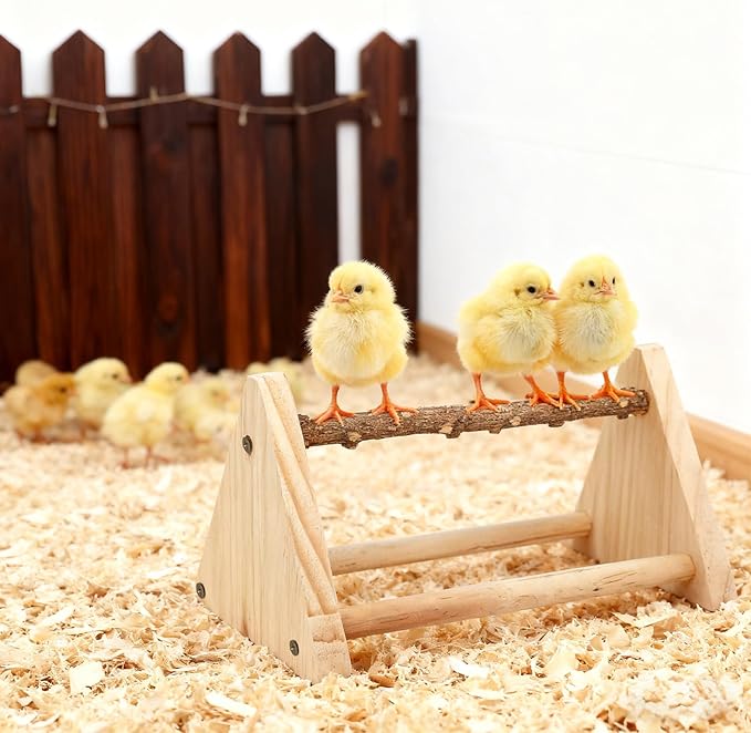 2-in-1 Chick Perch & Ramp Trainer Set, Wooden Chicken Roost Bar & Stand for Brooder Coop, Baby Chicken Supplies Toys for Chicks Ducks Quails and Small Animals