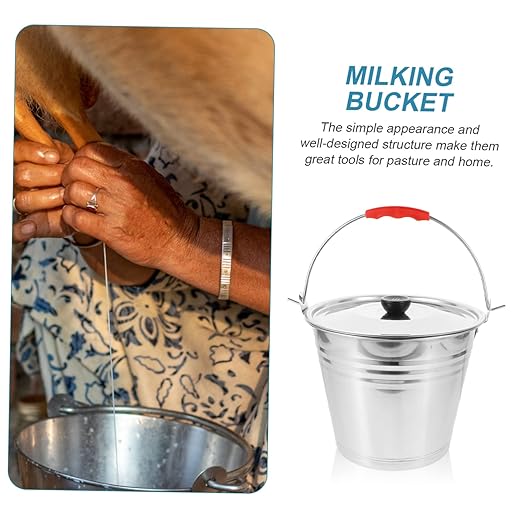 BESPORTBLE Heavy Duty Bucket with Lid Water Buckets for Farm Multi-Functional Pail for Dairy