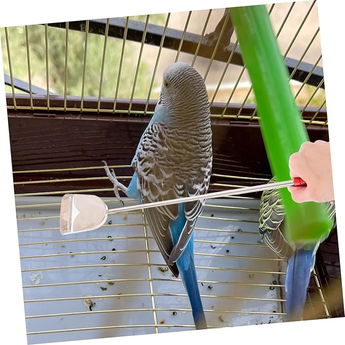 2 pcs Bird Cage Cleaning Brush Set Bird Poop Cleaner and Cage Cleaning Tools for Small Animals and Chicken Includes Droppings Scoop and Detailing Brush
