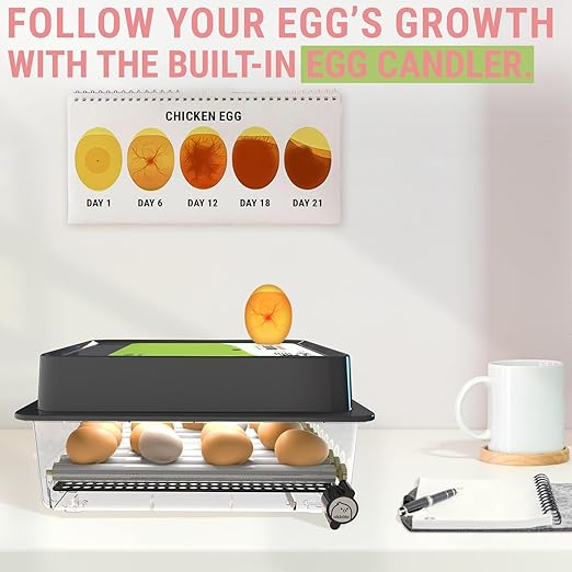 OBI-36 Egg Incubator for Hatching - 36 Eggs - Stable Temperature & Humidity Control with Eggloo Insulation, Candler - Ideal for Families and Farms - Suitable for Chicken, Duck, Quail Eggs