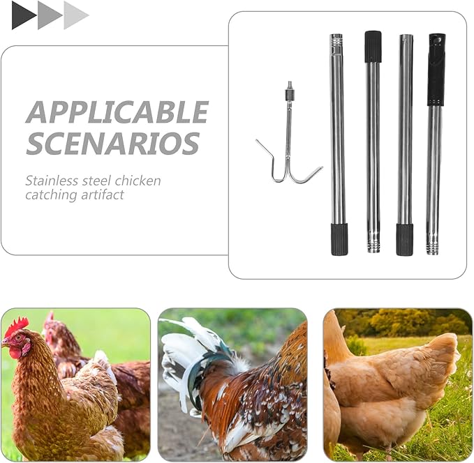 Hemoton Poultry Catching Leg Hook: Stainless Steel Chicken Leg Hook for Chickens Ducks Catcher Poultry Supplies