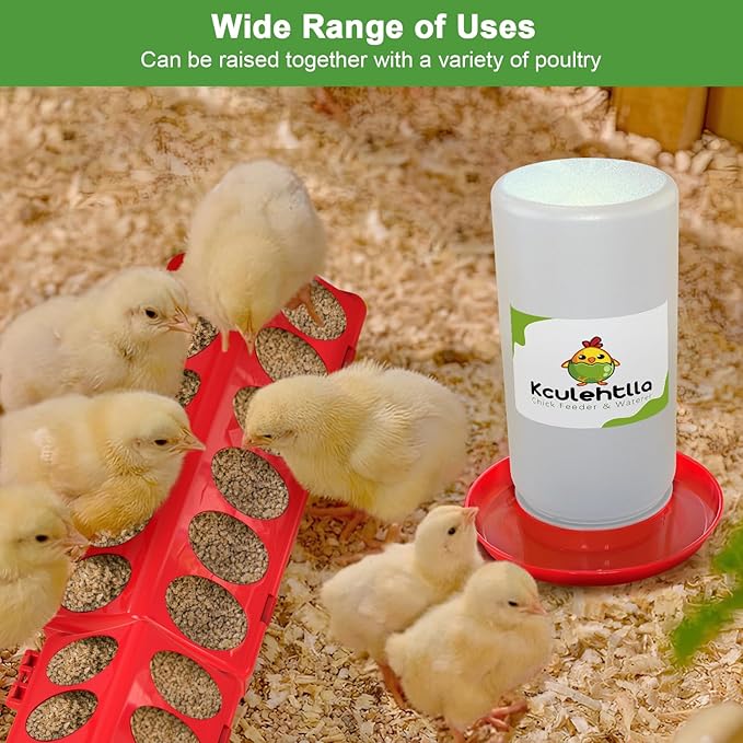 8Pcs Chick Feeder and Waterer Kit, Baby Chicken Supplies with Chicks Perch, Plastic Feeder Trough and 1.2L Waterer
