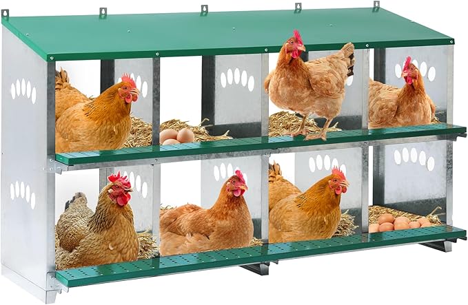 Chicken Nesting Box, 8 Compartment Metal Nesting Box, 8 Room Wall Mountable Nesting Boxes for Chicken with Swing Perch and Rollout Egg Collection