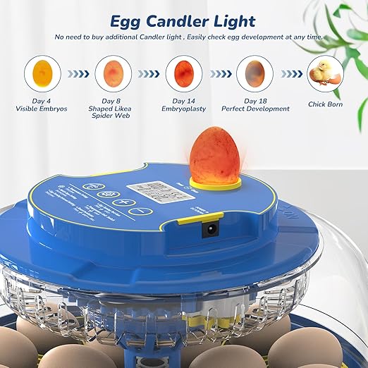 Incubator for Hatching Eggs with Automatic Egg Turning & Temperature/Humidity Control, 18 Egg Incubator for Chicken/Quail/Duck/Goose Eggs