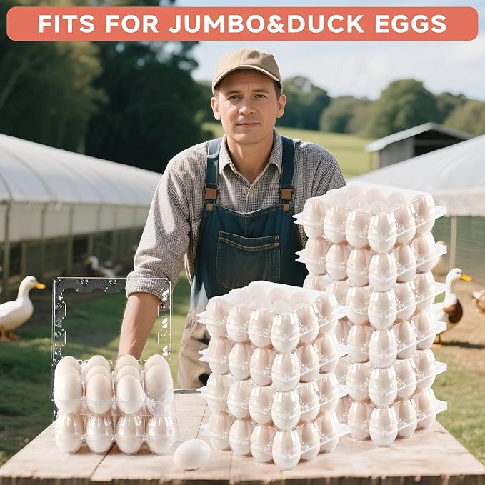 60 Pack Egg Cartons Cheap Bulk 1 Dozen Jumbo Egg Cartons Extra Large Duck Egg Holders with Sticker Labels Clear Empty Plastic Egg Containers for Home Ranch Farm Commercial Market Display