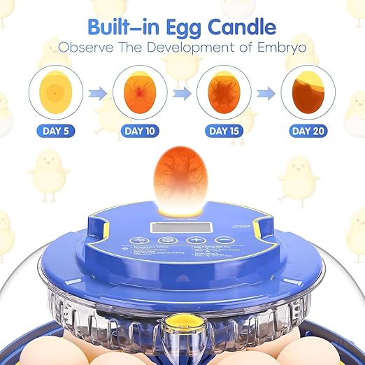 Egg incubators for Hatching Eggs, Automatic Egg Turning 12-24 Poultry Incubator with Temperature Control,Automatic Water Adding,℉ Display,360° View for Hatching Chickens, Duck,Quail,Goose Eggs (M18H)