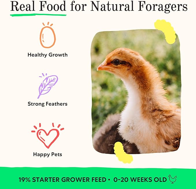 Grubbly Farms Little Pecks Starter Grower Feed – 19% Protein Chick Feed for Chicks, Ducklings, and Poults 0–20 Weeks – Made with Black Soldier Fly Grubs – No Soy, Corn, or Fish – 30 lb Bag
