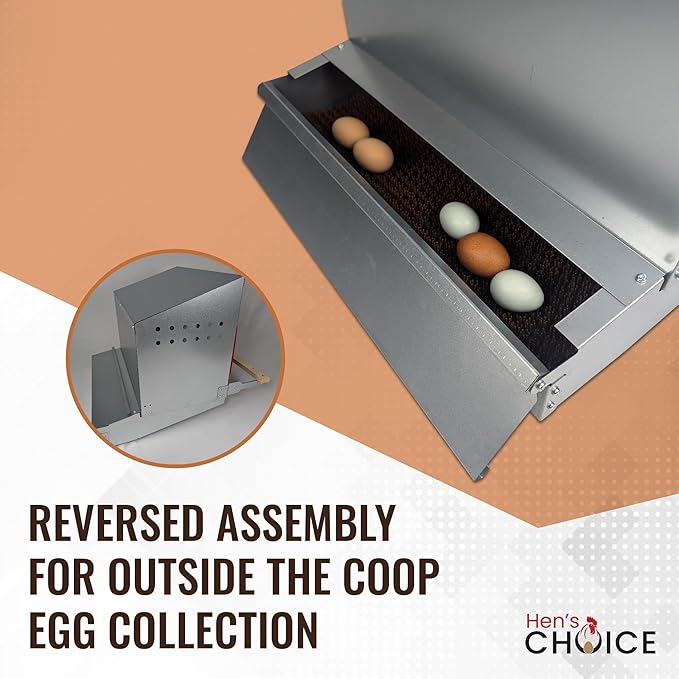 Hen's Choice™ - Reversible Roll Out Nest Box for Chickens | Roll Away Nest Box | 2 Compartment 21" | Heavy Duty Galvanized