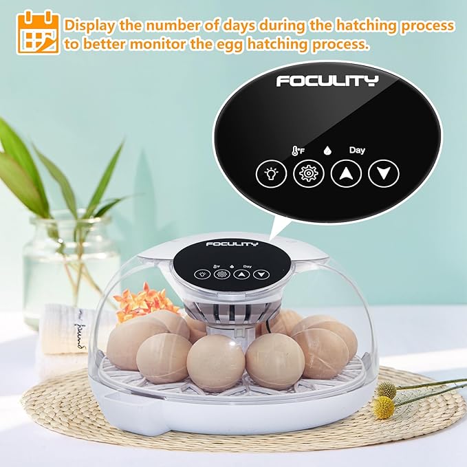 Egg Incubators for Hatching Eggs with Smart Automatic Turning Small Poultry Duck Quail 12 Eggs Chicken Incubator Temperature Days Control Humidity Display Candler Hatcher Machine, Fahrenheit