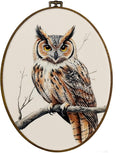 dvhdajed Vintage Owl Gifts Oval Wall Art Decor,Farmhouse Owl Canvas Prints Framed Canvas Art,Gifts for Owls Lovers Women,Retro Rustic Owls Oval Wall Hanging Decor for Bedroom Living Room, 8.7x11.3 In