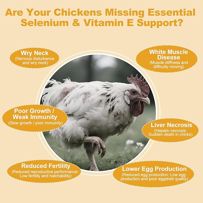 E+S Poultry Vitality Formula | Selenium for Chickens & All Poultry | Nutrient Support Powder for Energy Balance and Mobility | Feed Mix Additive for Healthy Growth