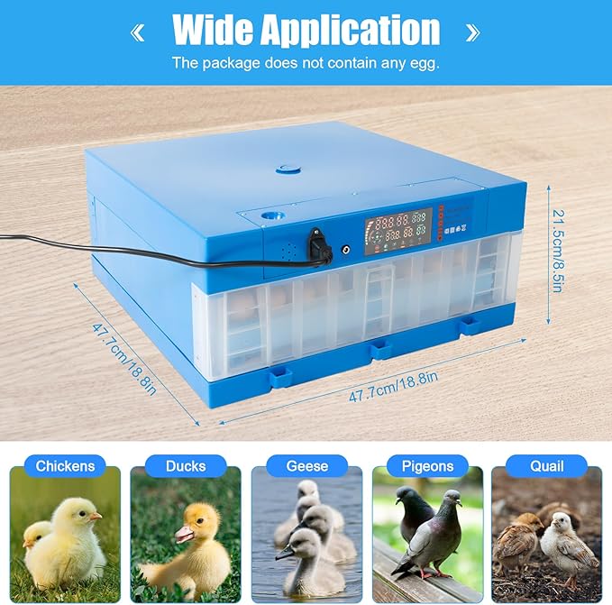 64 Chicken Egg Incubator, Automatic Digital Poultry Egg Incubator, Mini Smart Egg Incubator, Automatic Egg Rotation and Temperature and Humidity Control, for Chicken/Duck/Goose/Pigeon/Quail