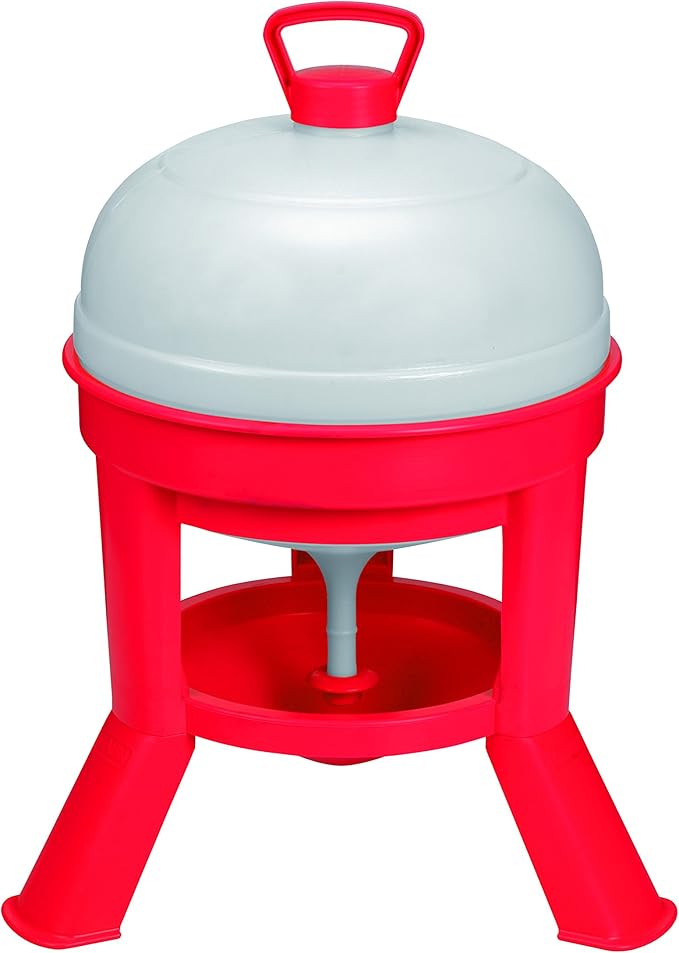 Little Giant® Plastic Dome Waterer | Heavy Duty Plastic Gravity Fed Poultry Waterer Container Tank | Chickens, Ducks & Other Birds for Hobbyists, Farmers and Ranchers | 5 Gallon
