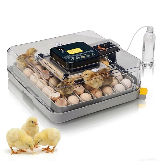 Winado Incubators for Hatching Eggs, 48 Egg Incubator with Automatic Egg Turning, Temperature & Humidity Control, Egg Candler, Automatic Water Filling and Day Counter for Eggs Hatching