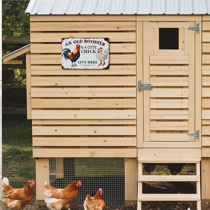 Funny Chicken Gifts for Women, An Old Rooster And A Cute Chick Live Here Aluminium Plate Signs, Humorous Chicken Decor for Farmhouse Coop Kitchen, Rustic Wall Art Decorations 8 X 12 Inch Metal Signs