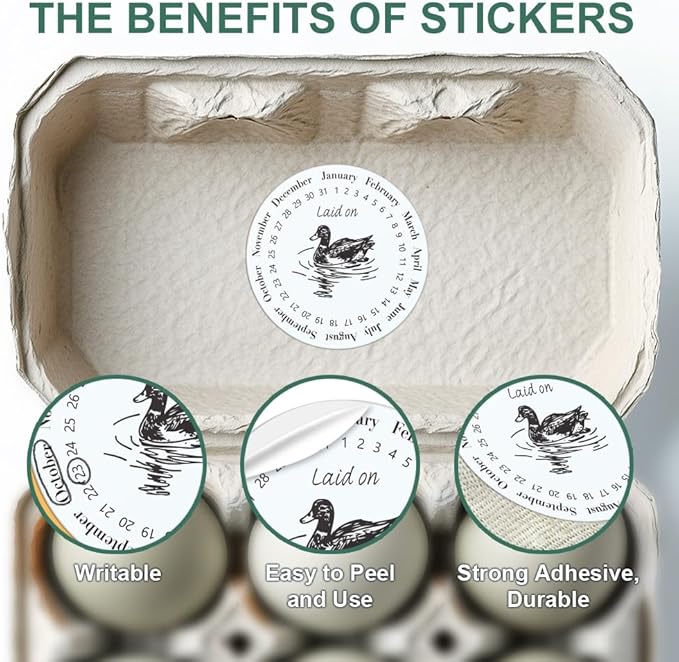 320 Pcs Duck Egg Laid on Stickers, 2 Inch Round Farm Fresh Eggs Sticker Round Eggs Stickers PET Adhesive Egg Packaging Sticker for Box Container Carton Farm Supplies