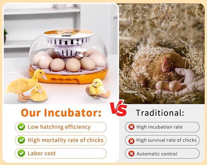 Gpeng Egg Incubator, 12 Eggs Incubator with Auto Egg-Turning, Auto Temperature Control, for Hatching Chicken Goose Pigeon Quail Duck