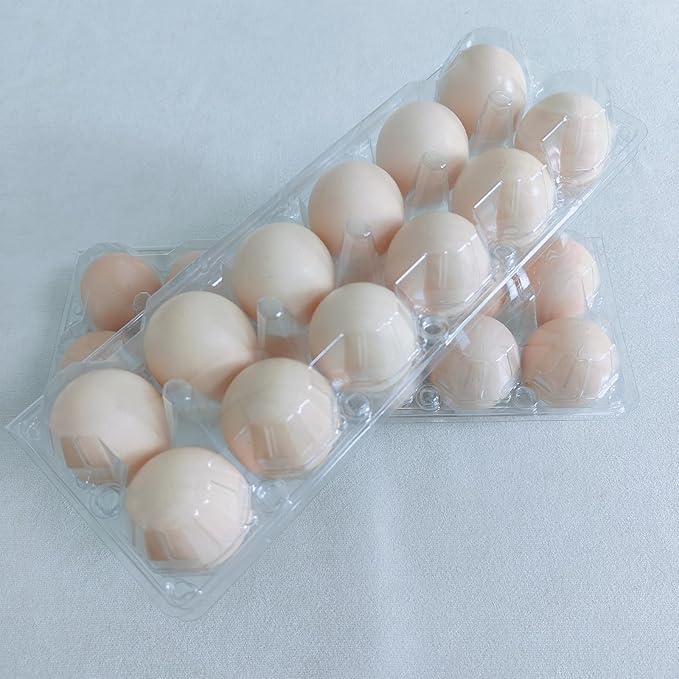 LSGENGXCY100packs Egg Cartons Cheap Bulk, 2 * 6 extra large Clear plastic egg cartons for Family, Farm, Markets, Display
