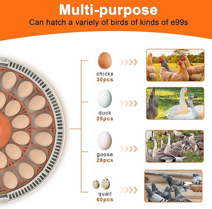 30 Egg Incubator with Automatic Egg Turning and Humidity Control,360 Degree View with Clear Window, Incubators for Hatching Eggs, Chicken, Ducks, Goose, Pigeon, Quail, Parrot