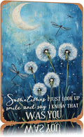 Funny Sign Sometimes I Just Look Up Smile And Say I Know That Was You Dandelion Metal Tin Sign Retro Wall Decor for Kitchen Cafe Gate Bar Garden 12×8 Inch