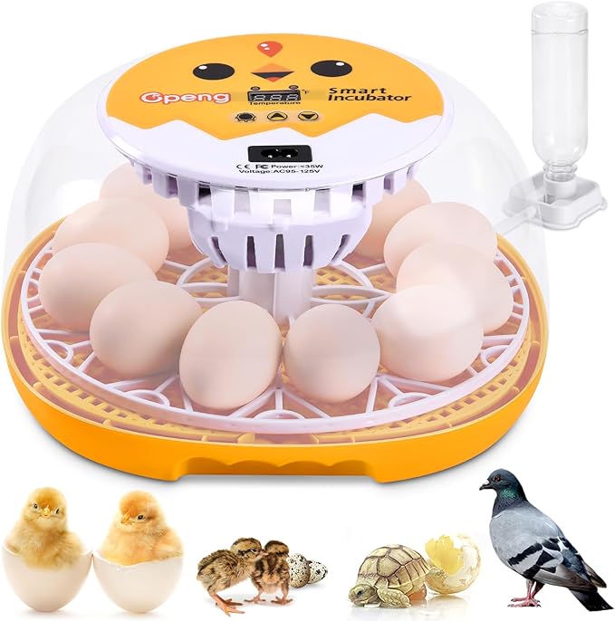 Gpeng Egg Incubator, 12 Eggs Incubator with Auto Egg-Turning, Auto Temperature Control, for Hatching Chicken Goose Pigeon Quail Duck
