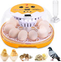 Gpeng Egg Incubator, 12 Eggs Incubator with Auto Egg-Turning, Auto Temperature Control, for Hatching Chicken Goose Pigeon Quail Duck