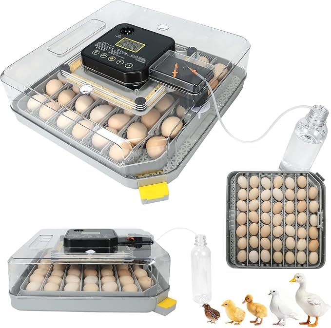 Nest IV - 48 Egg Incubator for Breeders, Fully Automated, Accurate Humidity & Temp Control, Chick Separator, Flexible Egg Spacing, Custom Incubation Days, Auto Turning & Auto Stop, Easy Monitoring