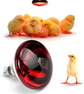250W Red Reptile Heat Lamp Bulb for Chick Brooder,Infrared Heating Light Bulb for Reptiles,Chicken,Farm Animals,Bathroon,Food,Poultry,Shatterproof,E26 Base with Temperature Sticker