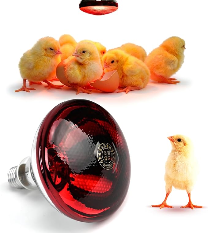 250W Red Reptile Heat Lamp Bulb for Chick Brooder,Infrared Heating Light Bulb for Reptiles,Chicken,Farm Animals,Bathroon,Food,Poultry,Shatterproof,E26 Base with Temperature Sticker