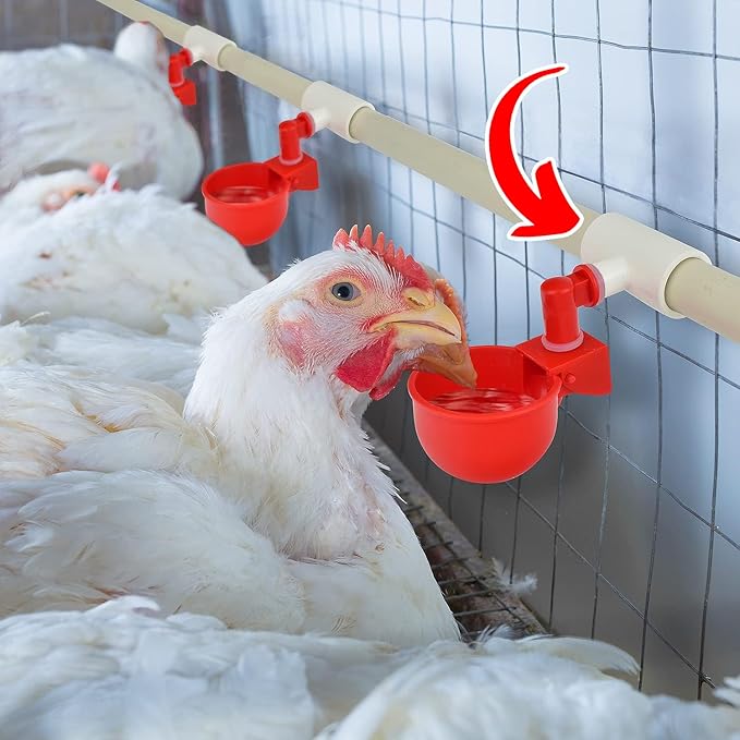 (12 Pack) Chicken Waterer PVC Tee Fittings For Threaded Poultry Watering Cups - Schedule 40 PVC 1/2 inch Slip X 1/2 inch Slip X 1/8 inch FPT