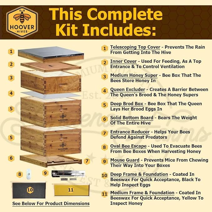 Hoover Hives Complete 8-Frame Beehive Kit – Wax-Coated Fir Wood, Includes 2 Deep Brood Boxes, 1 Medium Super, Langstroth Frames & CellTech Foundations – Durable, Weather-Resistant Beekeeping Supplies