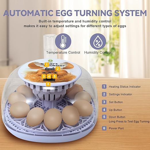 1st Gen - 12 Egg Automatic Incubator, Steady Humidity with Auto-Refill, Stable Temp Control, Auto Egg Turning, Candler, Real-Time Display for Hatching Chicken, Goose, Duck, Quail, Pigeon, and Turkey