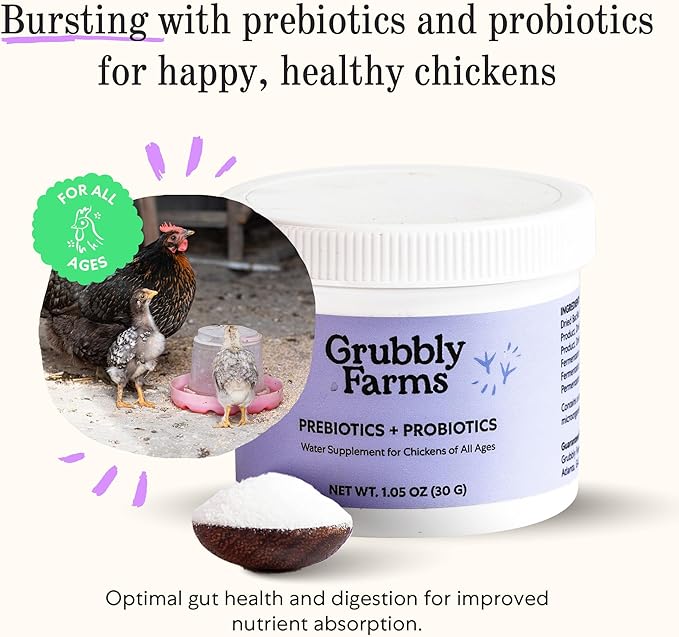 Grubbly Farms Supplements Bundle - Layer Calcium, Probiotics+Prebiotics, Vitamins+Electrolytes & Omega Mix - Complete Nutrition Support, Strong Eggshells & Digestive Wellness for Laying Hens - 4 Pack