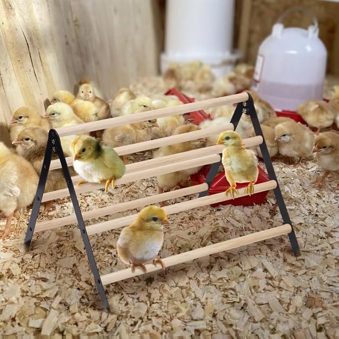 16.5" Lx13.4 Wx9.8 H Large Metal Stable Chick Perch - Wooden Baby Chicks Roosting Bars, Easy to Assemble & Clean Stand Ladder Fun Toys for Coop Accessories