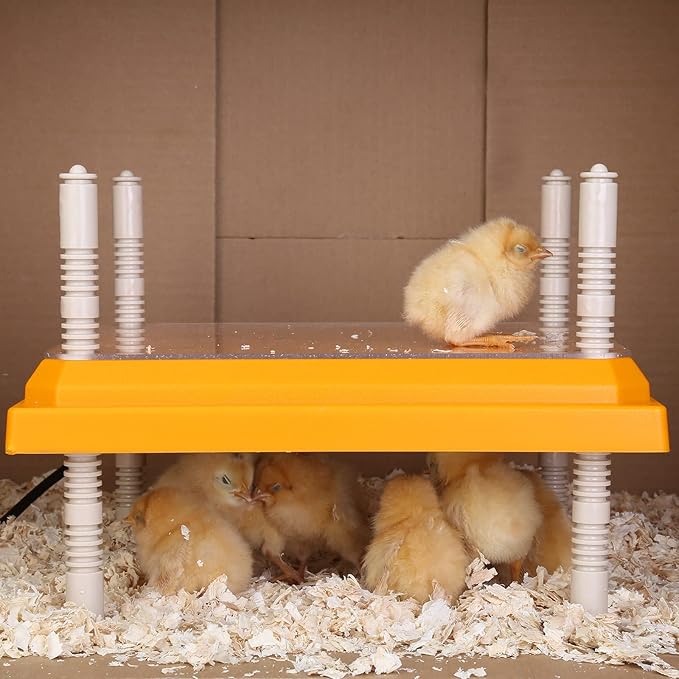 Brooder Heater for Chicks: Chick Brooder Heating Plate with Easy- Cleaning Plate Poultry Coop Heater Chicks Warmer 12" x 12" for 20 Chicks Adjustable Height Brooding Heater 22 Watts