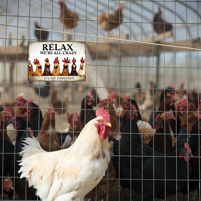 Funny Chicken Coop Signs - Vintage Sign Metal Tin “Relax We're All Crazy”For Chicken Lovers Gifts Outdoor Home Farm Chicken Wall Art Decor 8x12 Inch
