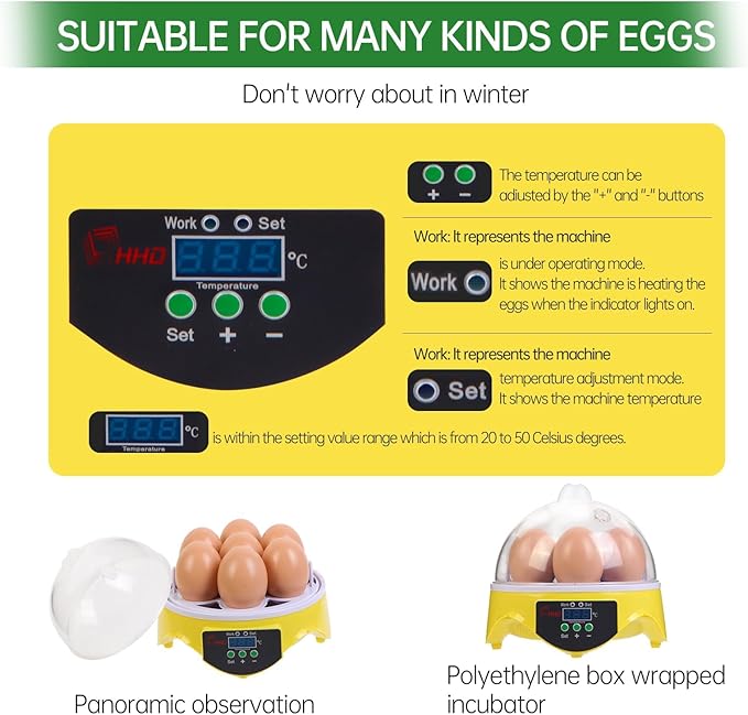 7-Egg Mini Egg Incubator with 360° View, Educational Hatching Kit for Kids, Classrooms & Families, Automatic Temperature Control & Manual Humidity Control, Suitable for Chicken, Duck & Quail Eggs