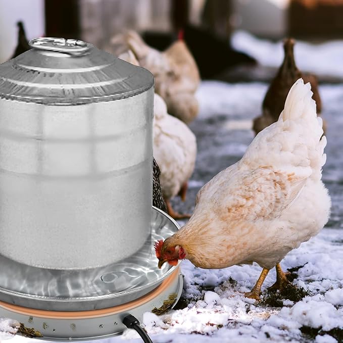 Poultry Chicken Water Heater: Chicken Water Heater Base for Winter, for Plastic/Metal Poultry Watere 11inch, Heated Waterer for Chickens 125W 2 Pack