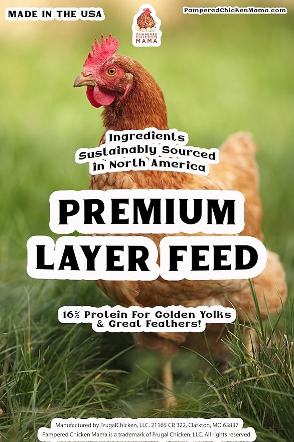 Pampered Chicken Mama Chicken Feed Mash - Premium Layer Feed Pellets - High Protein & High Calcium Chicken Grower Feed Supplies (10 Pounds)