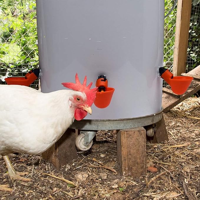 DoubleWood 36Pack Fully Automatic Poultry Drinking Machine Chicken Drinking Cup, Chicken Drinking Watering Cups/Poultry Drinking Machine (36)