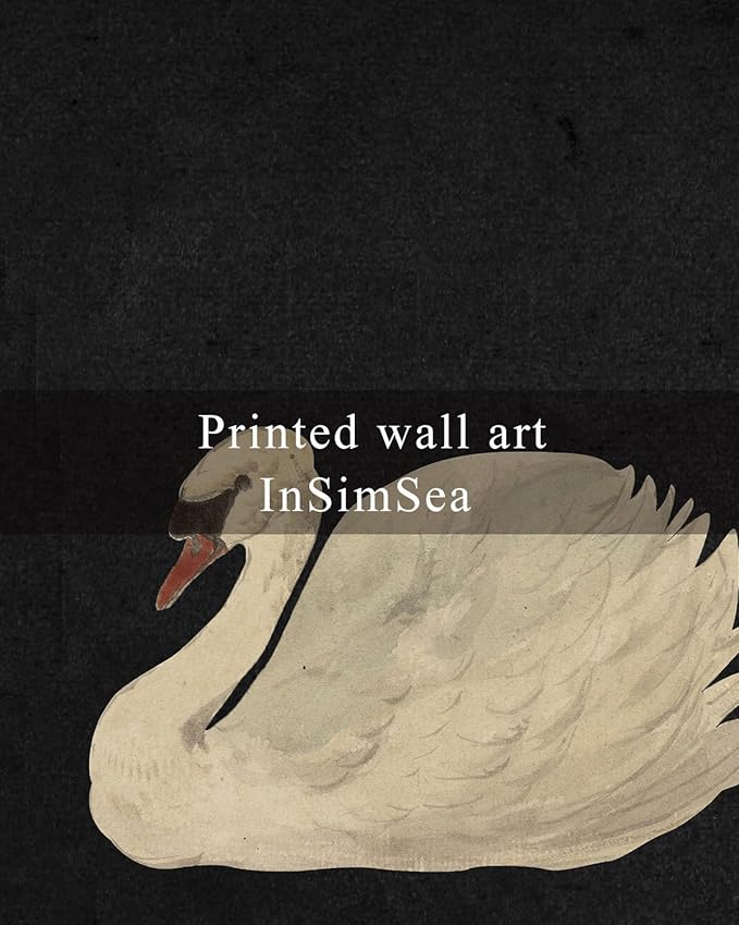 InSimSea Framed Canvas Wall Art Swan Art Framed Wall Decorations, Grace Swan Painting Pictures Rustic Bathroom Wall Decor, Farmhouse Wall Decor for Living Room, Bedroom, Office Decor 12X12in