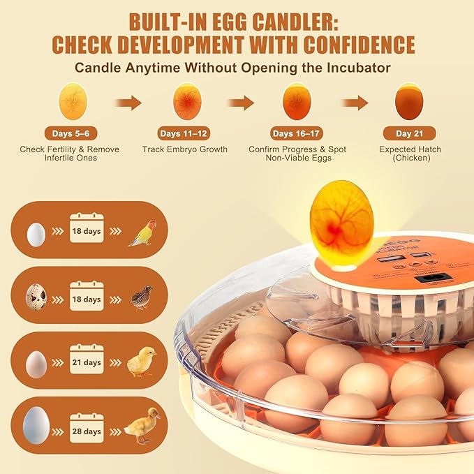 Nest II - 30 Egg Incubator for Large-Batch Hatchers, Hands-On Control, Auto Egg Turning, Manual Water Fill, Consistent Temp, Real-Time Display, Candler for Chicken, Goose, Duck, Quail, Pigeon, Turkey